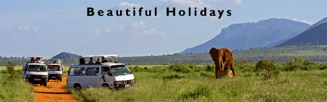 kenyan safari parks holiday and accommodation guide