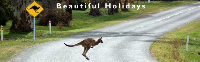 yarra valley holiday and accomodation guide