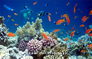 tourists enjoying an african beach holidays holiday