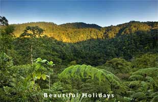 typical scenery of costa rica