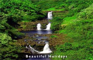 beautiful rainforest  holidays