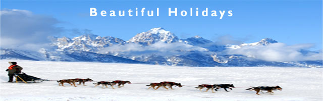 alaska holiday and accomodation guide