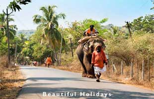 goa beach scene