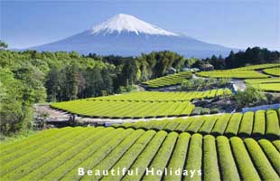 east asia countryside