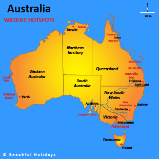 map of australian showing best wildlife locations