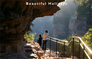 scene from the blue mountains australia