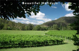 picture of hunter valley new south wales