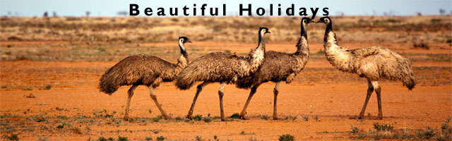 alice springs holiday and accomodation guide