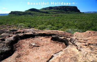 darwin picture showing one of the city sites