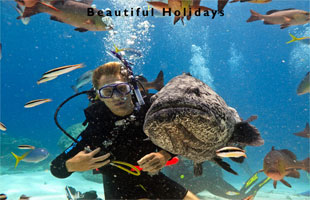 picture of a great barrier reef in Australia