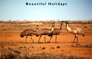 picture of a outback resort in Australia