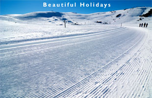 tourists enjoying an australia skiing holiday