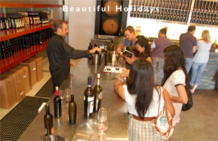 tourists enjoying an australian wine holiday