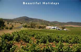 picture of a vineyard in Australia