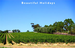 australian wine tasting holidays
