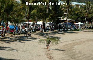 scene from airlie beach australia