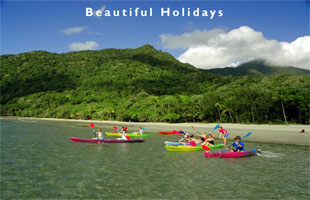 picture of daintree rainforest queensland