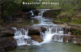 daintree rainforest beach scene