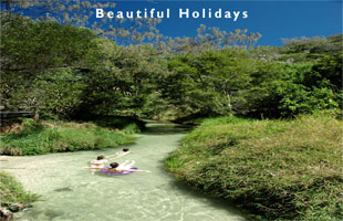 fraser island beach scene