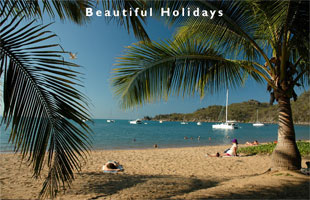 scene from magnetic island australia