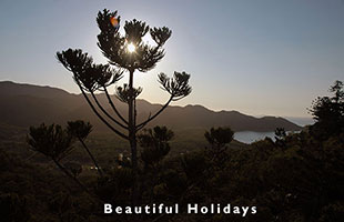 magnetic island beach scene