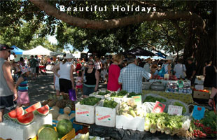 scene from port douglas australia