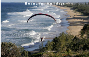 scene from the sunshine coast australia