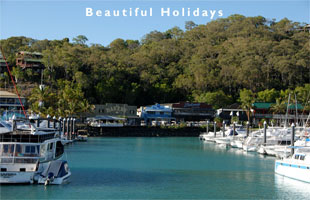 scene from the whitsunday islands australia