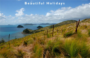 one of the popular whitsunday islands accommodations