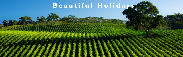 barossa valley holiday and accomodation guide