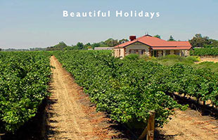 picture of fleurieu peninsula south australia