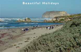 scene from kangaroo island australia