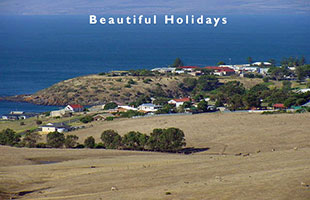 picture of limestone coast south australia