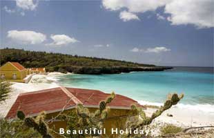 picture of bonaire west indies