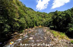 typical scenery of dominica