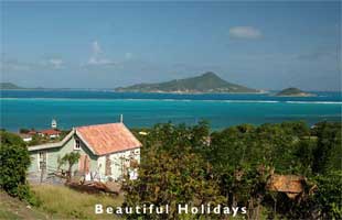 typical scenery of martinique