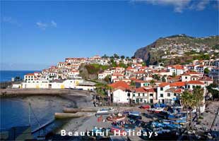 typical scenery of madeira island