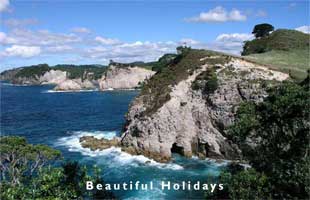 picture of bay of plenty travel scene