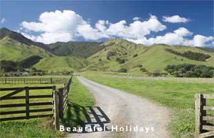 bay of plenty photo showing countryside