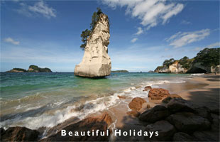 picture of coromandel in new zealand