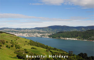 beautiful dunedin picture