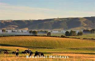 picture of dunedin travel scene