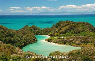 picture of south island in new zealand