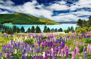 picture of south island travel scene