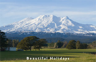 picture of taupo travel scene