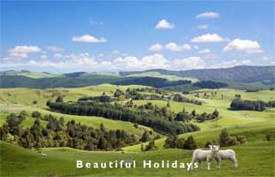 waikato photo showing countryside