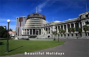 picture of wellington in new zealand
