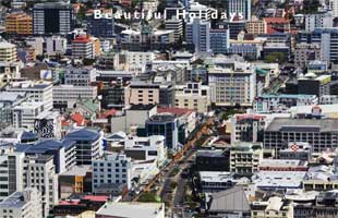 beautiful wellington picture