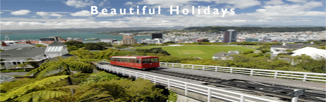 beautiful wellington holidays in new zealand