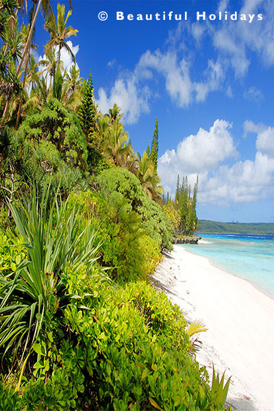 a secluded beach in the south pacific islands